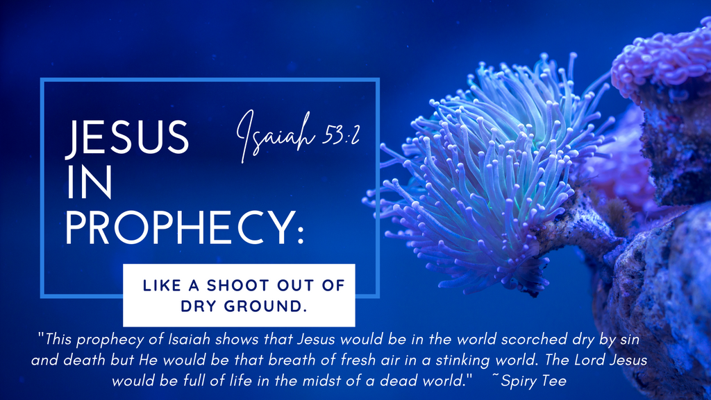 JESUS IN PROPHECY Part 1: Like A Shoot Out Of Dry Ground.
