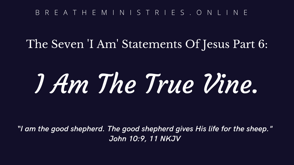 The Seven 'I Am' Statements Of Jesus Part 6: I Am The True Vine.