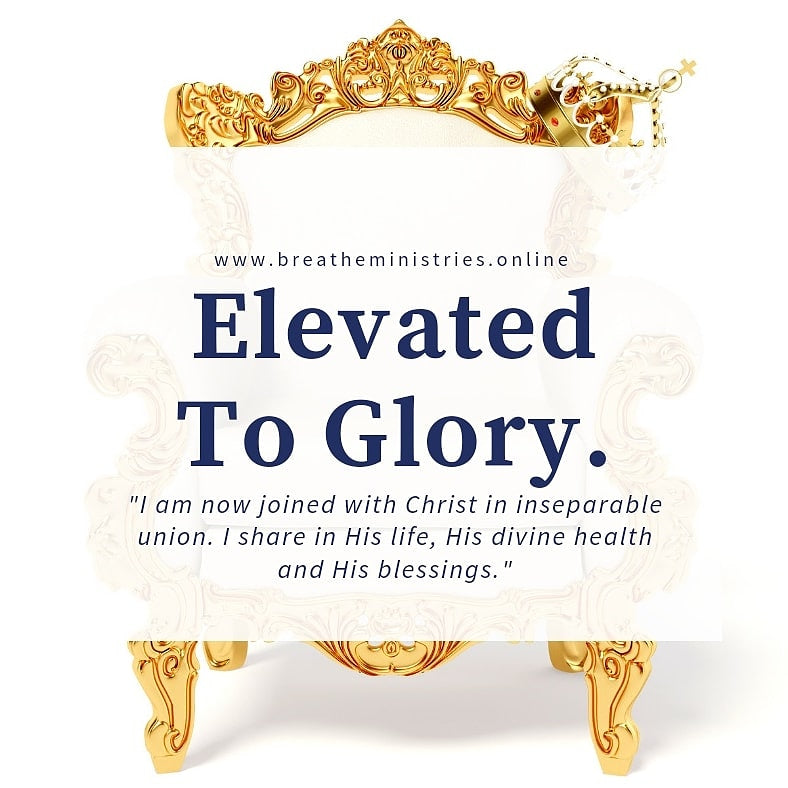 Elevated To Glory